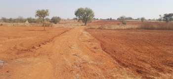  Agricultural Land for Sale in Humnabad, Bidar