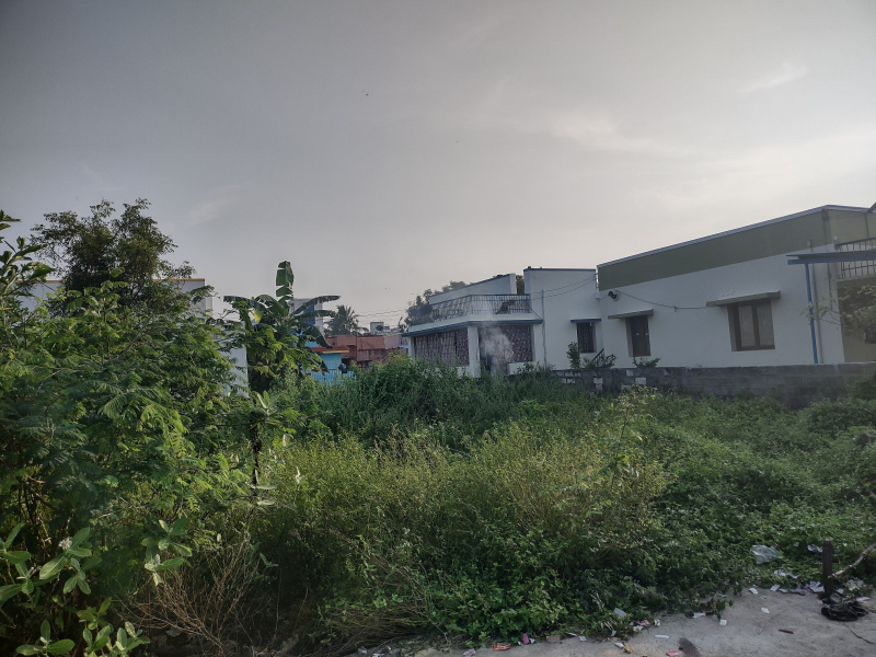  Residential Plot 2250 Sq.ft. for Sale in Rasipuram, Namakkal