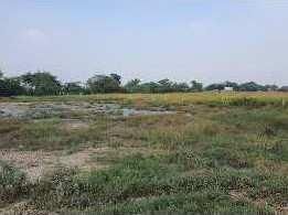  Residential Plot for Sale in Khurja, Bulandshahr