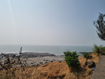  Agricultural Land for Sale in Harihareshwar, Raigad