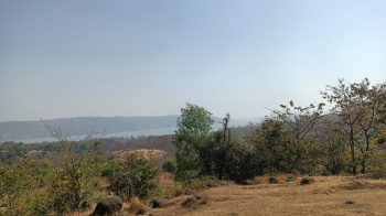  Agricultural Land for Sale in Harihareshwar, Raigad