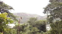  Agricultural Land for Sale in Chiplun, Ratnagiri