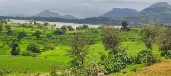  Agricultural Land for Sale in Igatpuri, Nashik