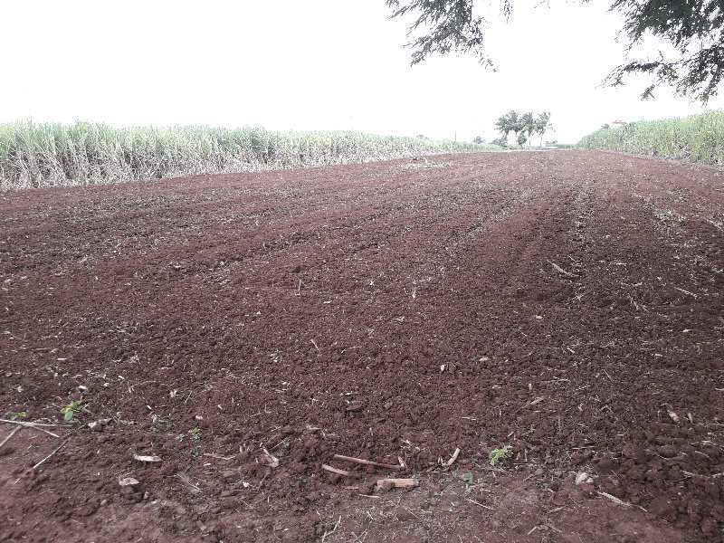 Agricultural Land 40000 Sq.ft. for Rent in Kolwadi, Pune,