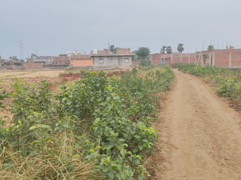  Residential Plot 1360 Sq.ft. for Sale in Bodh Gaya