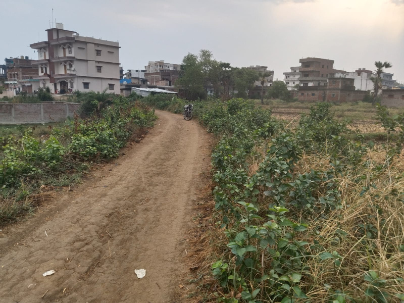  Residential Plot 1360 Sq.ft. for Sale in Bodh Gaya