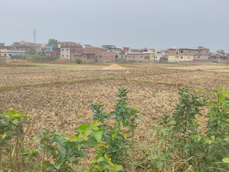  Residential Plot 1360 Sq.ft. for Sale in Bodh Gaya