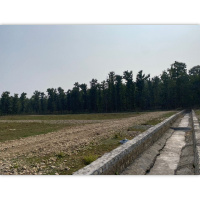  Residential Plot for Sale in Sherpur, Dehradun