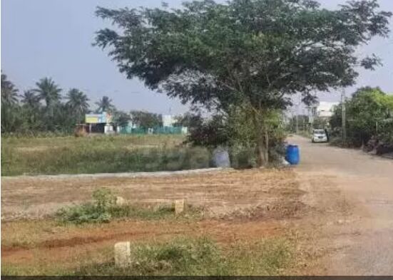  Residential Plot 1800 Sq.ft. for Sale in Chettipalayam, Coimbatore