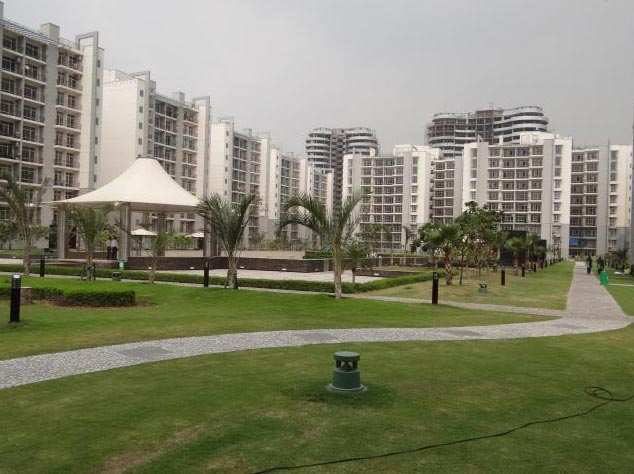 3 BHK Apartment 1555 Sq.ft. for Rent in