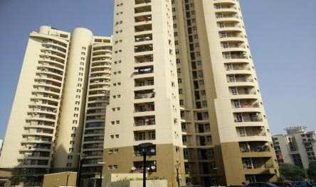 3 BHK Apartment 1605 Sq.ft. for Rent in
