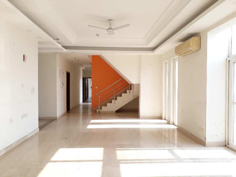 5 BHK Apartment 5600 Sq.ft. for Sale in