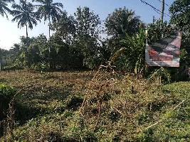  Agricultural Land for Sale in Polpully, Palakkad