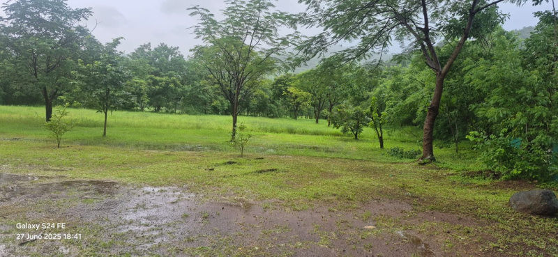  Agricultural Land 228 Guntha for Sale in Khalapur, Raigad