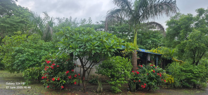  Agricultural Land 228 Guntha for Sale in Khalapur, Raigad