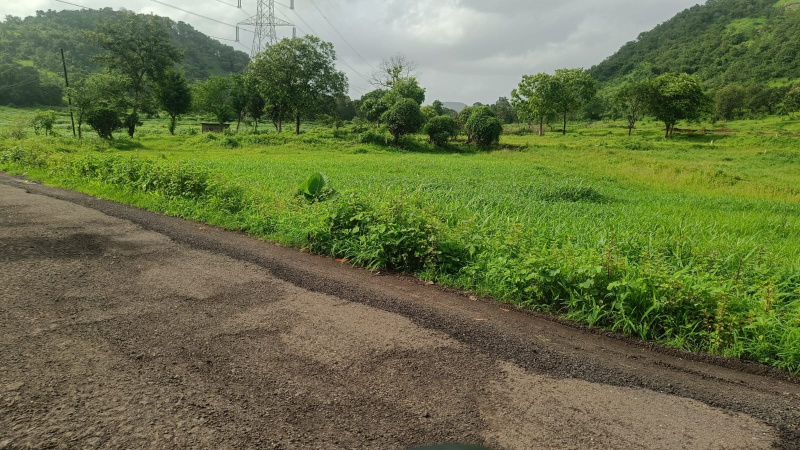  Agricultural Land 10 Acre for Sale in Khalapur, Raigad