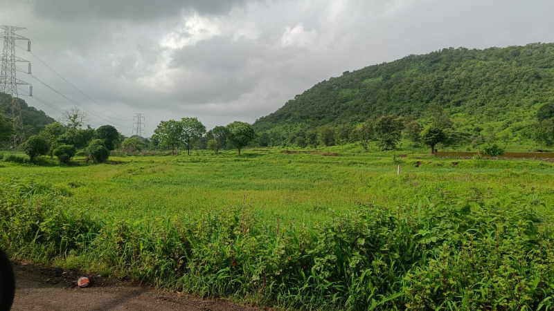  Agricultural Land 10 Acre for Sale in Khalapur, Raigad