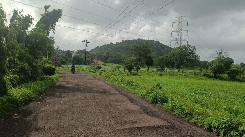  Agricultural Land 10 Acre for Sale in Khalapur, Raigad