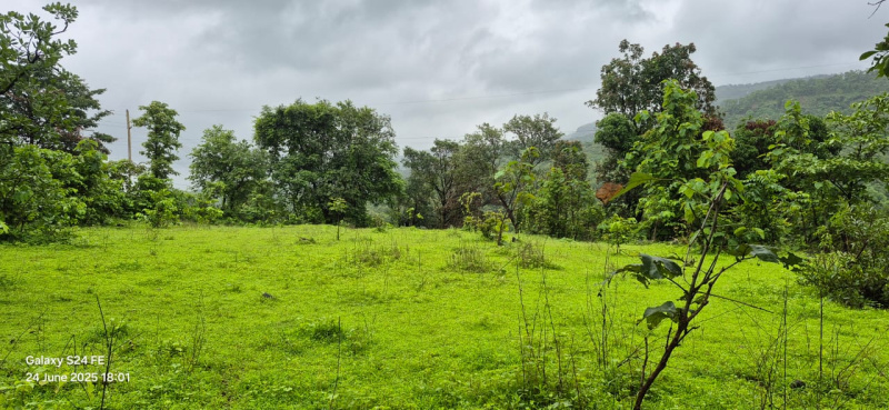  Agricultural Land 26 Guntha for Sale in Sudhagad, Raigad