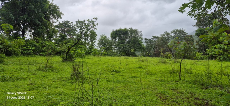  Agricultural Land 26 Guntha for Sale in Sudhagad, Raigad