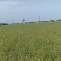  Agricultural Land for Sale in Perambakkam, Thiruvallur