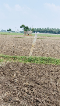  Agricultural Land for Sale in Pattaraiperumbudur, Thiruvallur