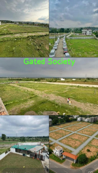  150 Sq. Yards Residential Plot for Sale in Badripur, Dehradun