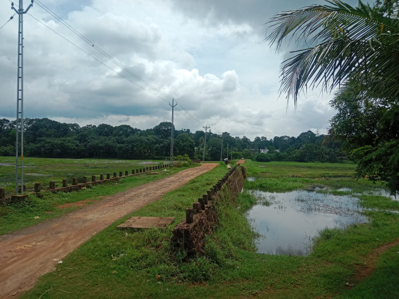 6 BHK 4000 Sq.ft. House for Sale in Vadavathoor, Kottayam