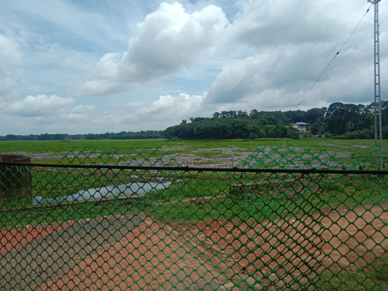 6 BHK 4000 Sq.ft. House for Sale in Vadavathoor, Kottayam