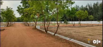  Residential Plot for Sale in Sri Potti Sriramulu, Nellore
