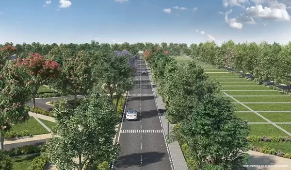  Residential Plot 1300 Sq.ft. for Sale in Dholera, Ahmedabad