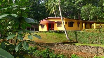  Agricultural Land for Sale in Thadiyoor, Pathanamthitta