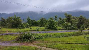  Agricultural Land for Sale in Dodamarg, North Goa, 