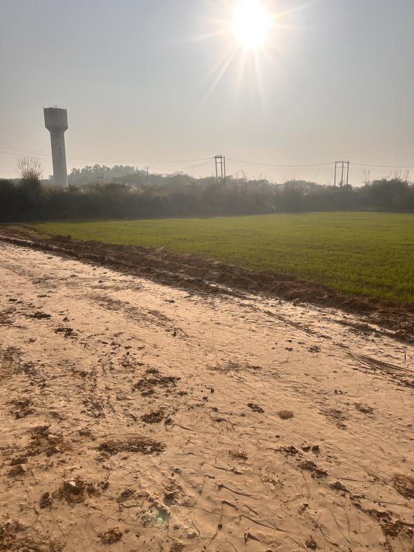  Industrial Land 1 Bigha for Sale in Barwala Road, Barwala Road, Dera Bassi