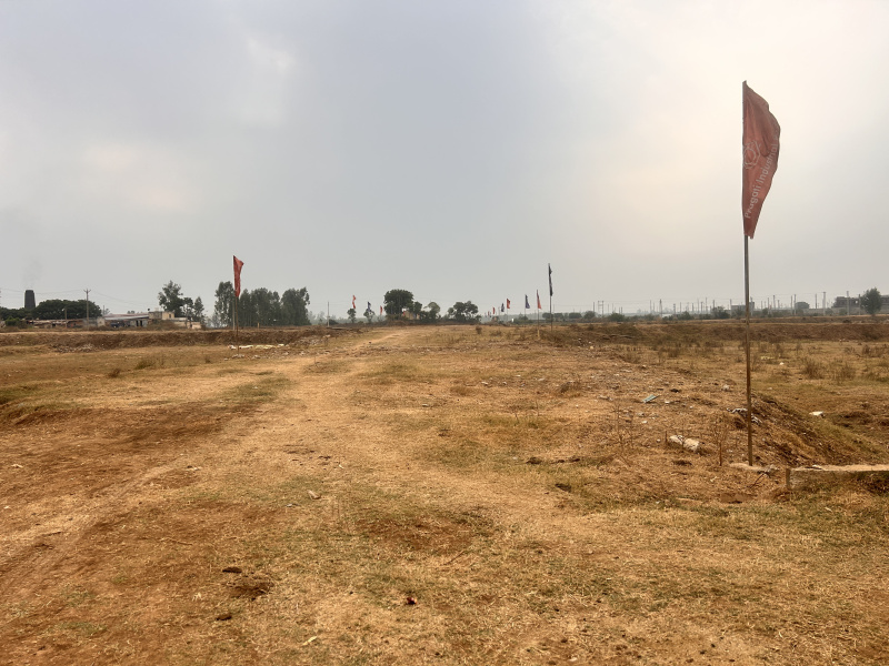  Industrial Land 700 Sq. Yards for Sale in Panjokhara, Ambala