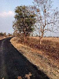 Agricultural Land for Sale in Hingna, Nagpur