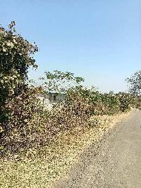  Agricultural Land for Sale in Savner, Nagpur