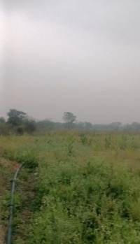  Agricultural Land for Sale in Umred, Nagpur