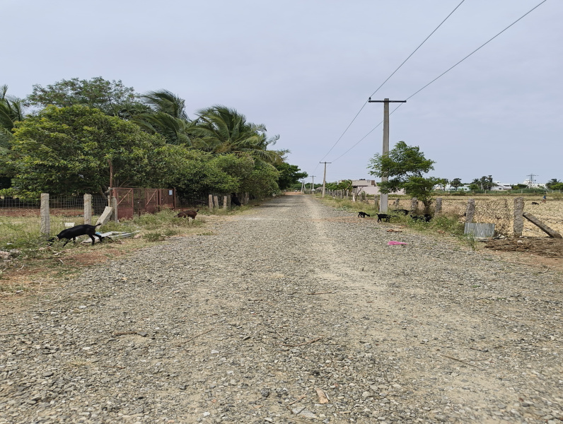  Residential Plot 1200 Sq.ft. for Sale in Samayapuram, Tiruchirappalli