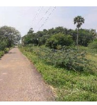  Agricultural Land 40 Acre for Sale in Samayapuram, Tiruchirappalli