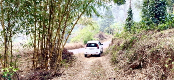  Agricultural Land for Sale in Madikeri, Kodagu