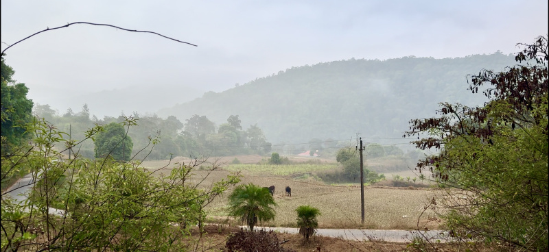  Agricultural Land 2 Acre for Sale in Madikeri, Kodagu