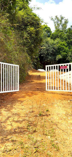 Agricultural Land 85 Cent for Sale in Madikeri, Kodagu