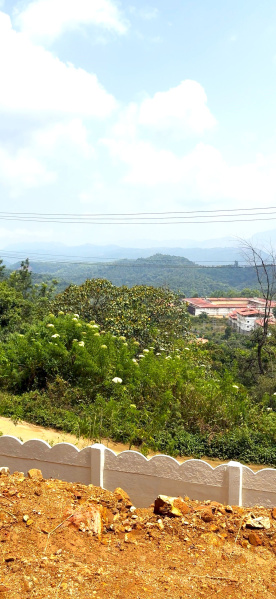  Agricultural Land 85 Cent for Sale in Madikeri, Kodagu