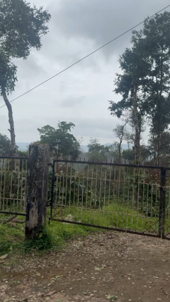  10 Acre Agricultural/Farm Land for Sale in Madikeri, Kodagu