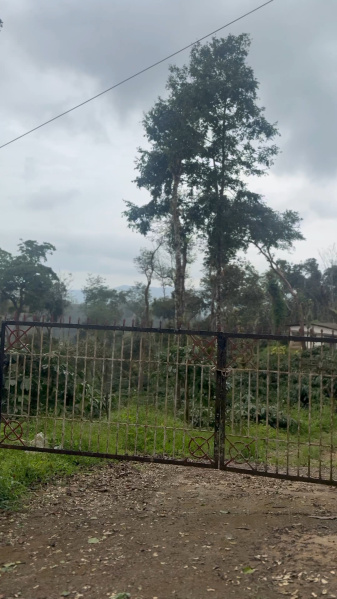  10 Acre Agricultural/Farm Land for Sale in Madikeri, Kodagu