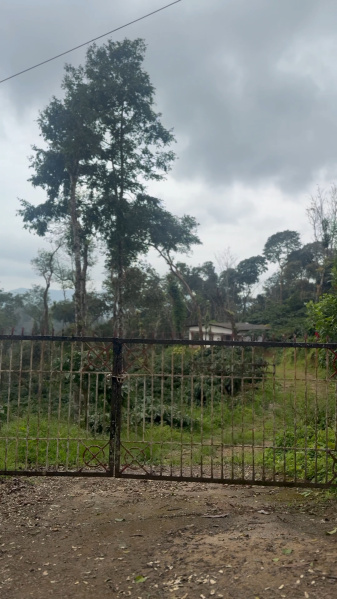  10 Acre Agricultural/Farm Land for Sale in Madikeri, Kodagu