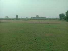  Agricultural Land for Sale in Jhajhar, Gautam Buddha Nagar