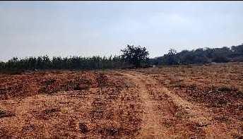 Agricultural Land for Sale in Ramayampet, Medak