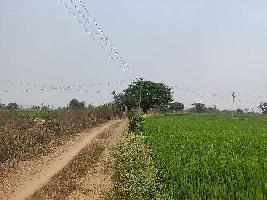  Agricultural Land for Sale in Banswada, Nizamabad